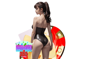 ems365 แตกง่าย